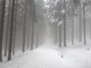 WhatsApp Image 2023-12-16 at 12.23.21.jpeg